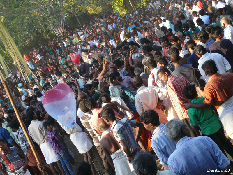 mangad-pooram-2013 (39)